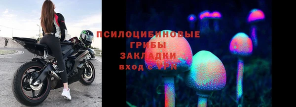 mix Горняк