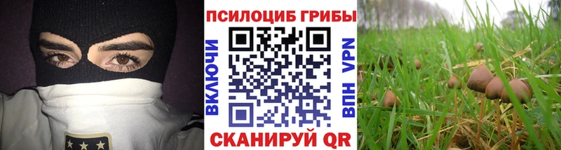 Псилоцибиновые грибы прущие грибы  Купить закладки  Кингисепп 
