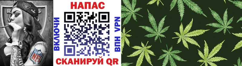 Бошки Шишки LSD WEED Кингисепп